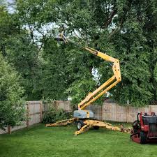 Best Tree Mulching Services  in Darlington, WI