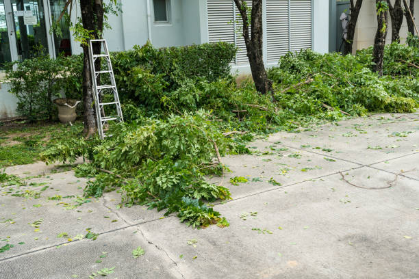 Best Utility Line Clearance  in Darlington, WI